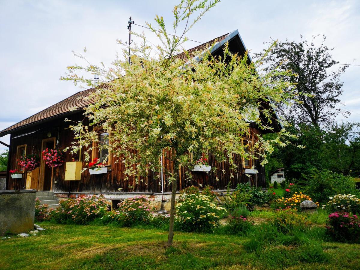 Wies Odnowa Łabowa Exterior foto